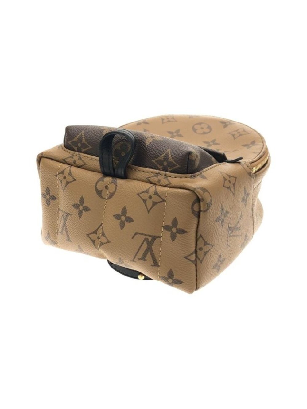 Louis Vuitton Monogram Reverse Palm Spring Backpack Mini Sac - Picture 3 of 6